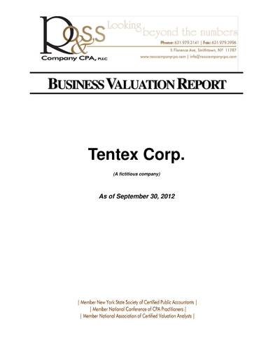 sample business valuation report