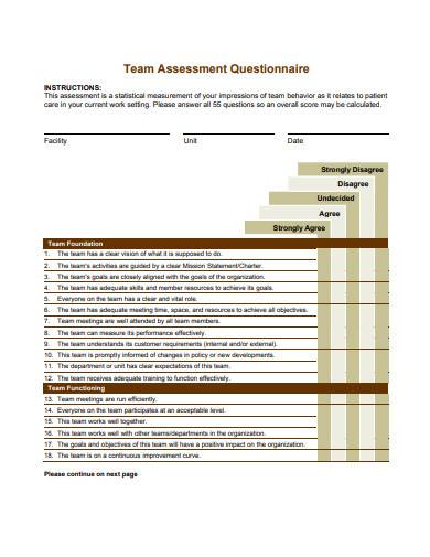 team assessment questionnaire