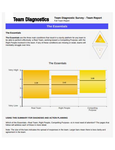 team diagnostics survey report