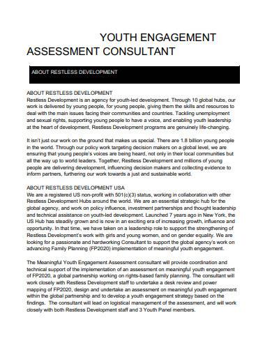 youth engagement assessment consultant