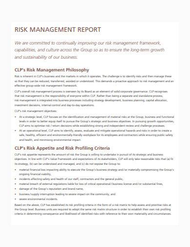 basic risk management report sample 