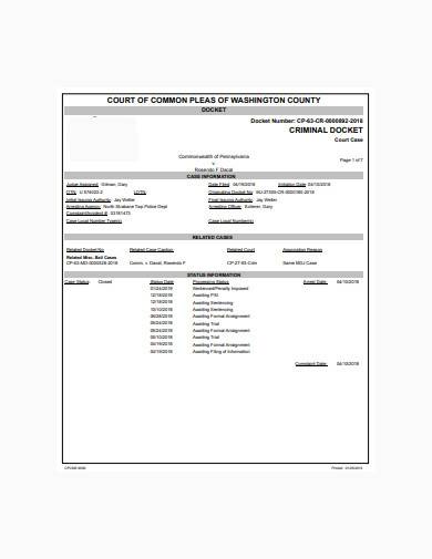 FREE 9 Criminal Docket Samples In PDF MS Word