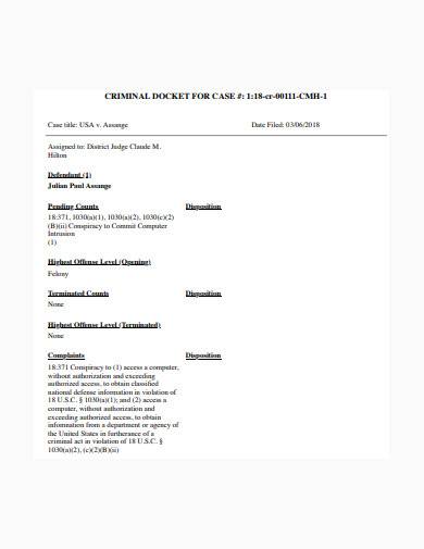 FREE 9  Criminal Docket Samples in PDF MS Word