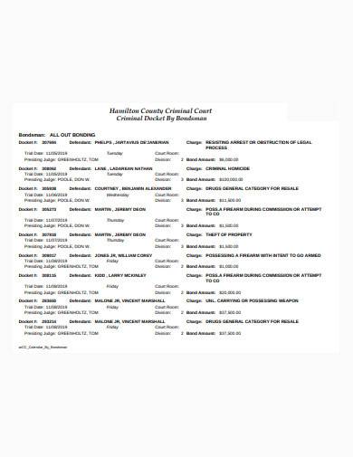 general criminal docket sample