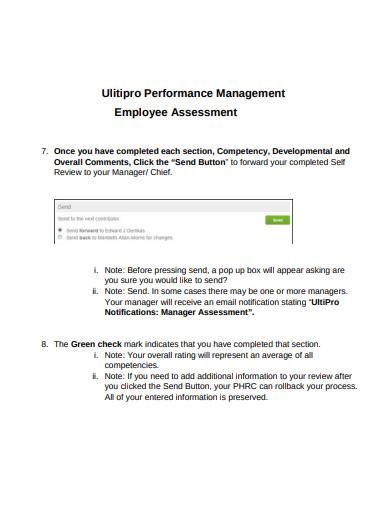 performance management employee assessment sample