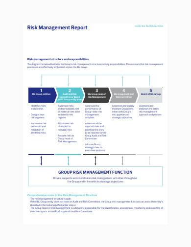 sample risk management report to board pdf