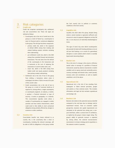 risk management report template