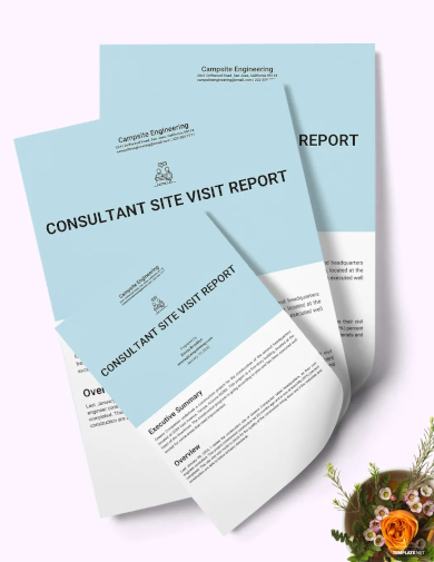 consultant site visit report template