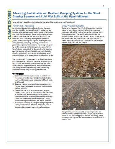 Project Guidelines Template Of Agricultural Projects