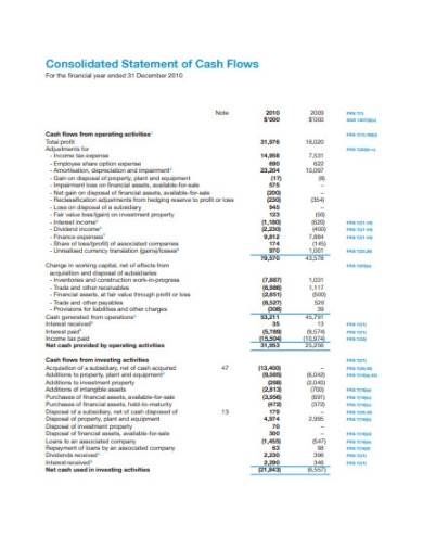 consolidated statement of cash flows