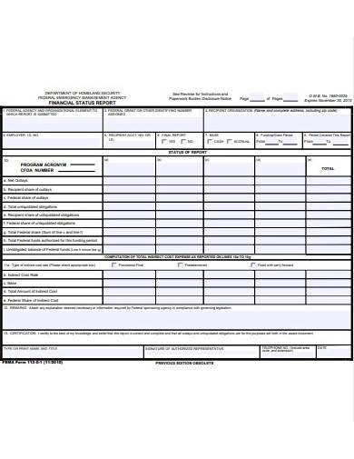 financial status report example