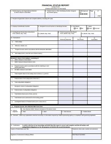 financial status report in pdf