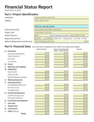 formal financial status report