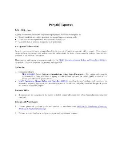 prepaid expenses overview template