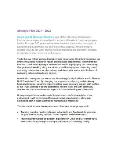 simple charity strategy plan template