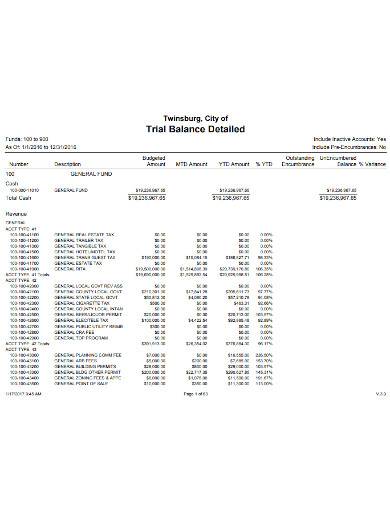 trial balance detailed