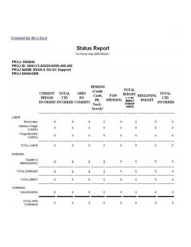 variance analysis status report
