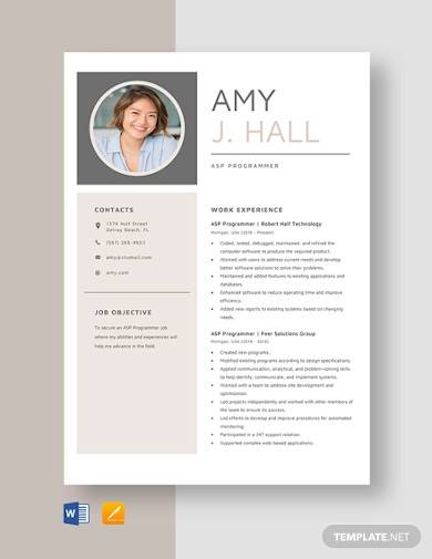 asp programmer resume template