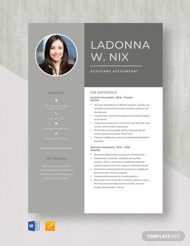 assistant accountant resume template