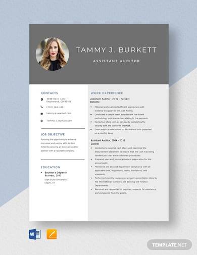 assistant auditor resume template