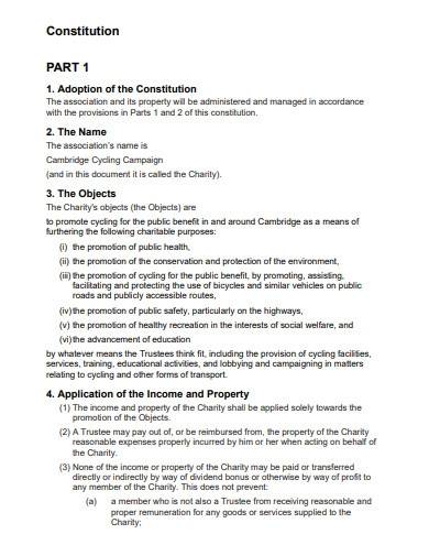 basic charity constitution template