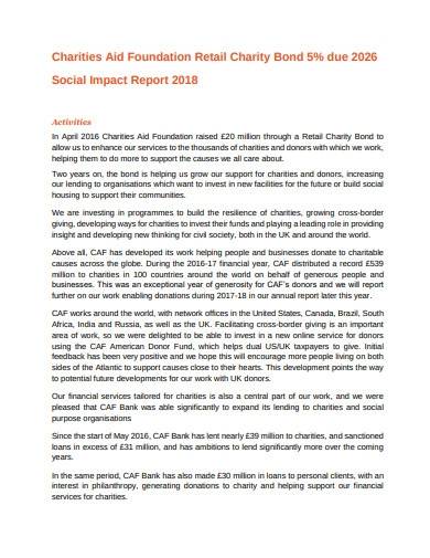 charities social impact report template