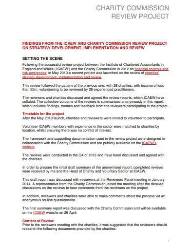 FREE 4 Charity Project Plan Samples Templates In PDF