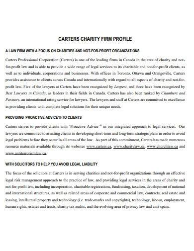 charity firm profile sample