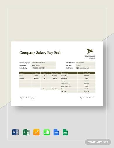 company salary pay stub