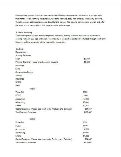 day spa business plan template free