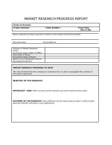 market research progress report