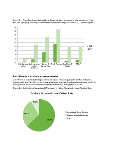 scientific research program report