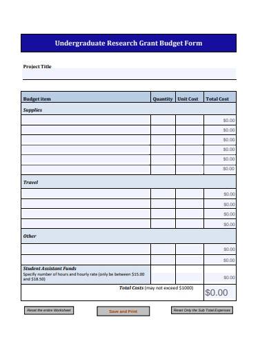 undergraduate research grant budget form