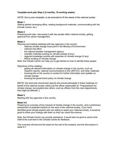 formal work plan template