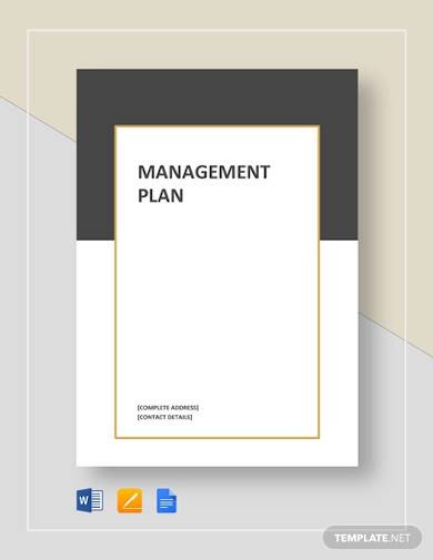 management plan template