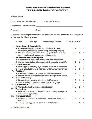 professional summative evaluation form
