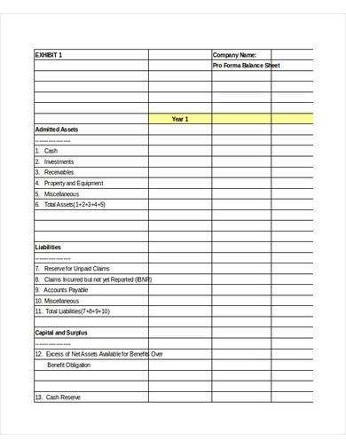 proforma balance sheet sample