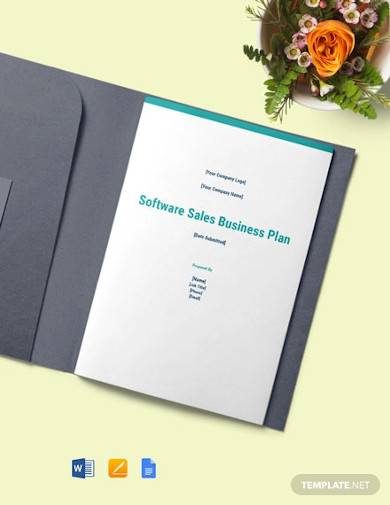 software sales business plan template