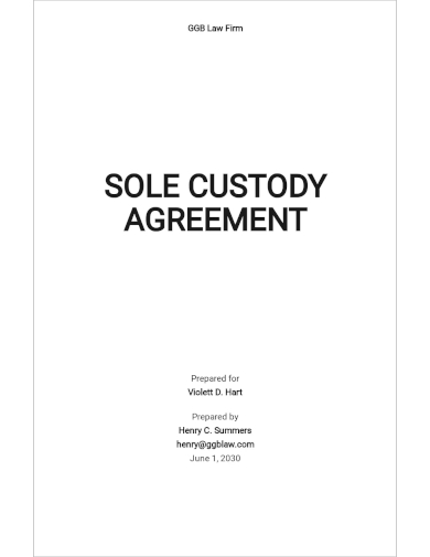 sole custody agreement template