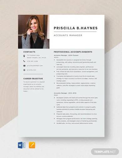 accounts manager resume template