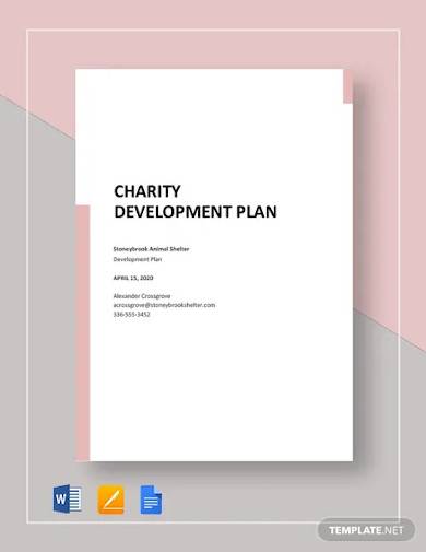 free charity business plan template uk