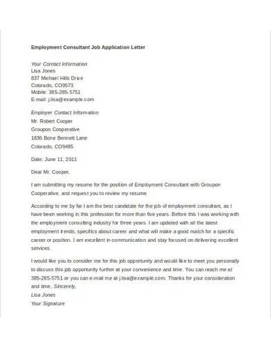 application letter for a consultant job