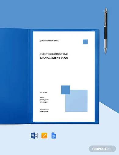 it change management plan template