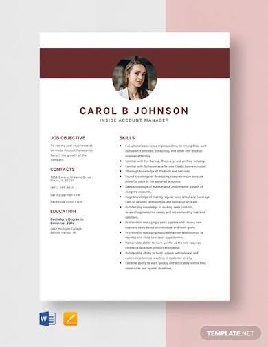 inside account manager resume template