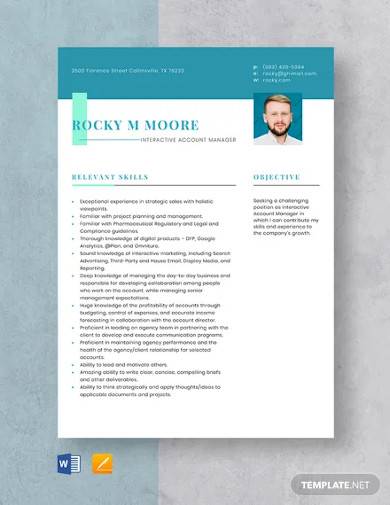 interactive account manager resume template