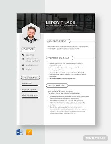 international account manager resume templates