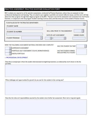 sample examiner evaluation form