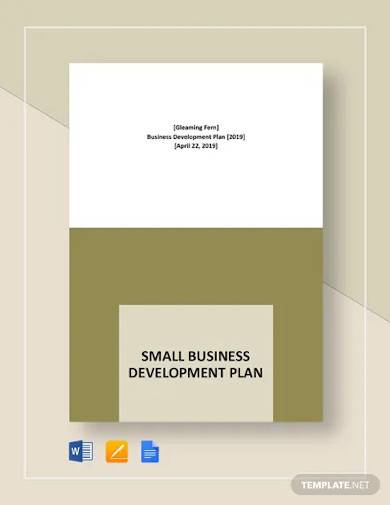 small business development plan template