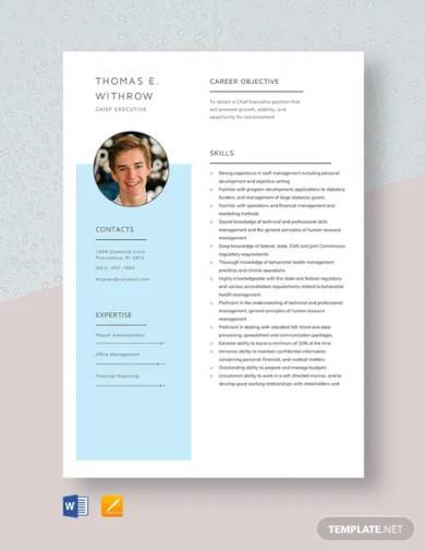 chief executive resume template