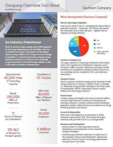 company overview fact sheet